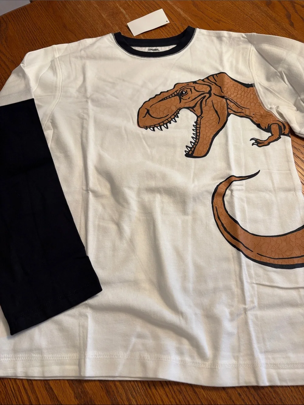 Gymboree White Long Sleeve Tee with Layered Look Sleeves and Dinosaur Graphic